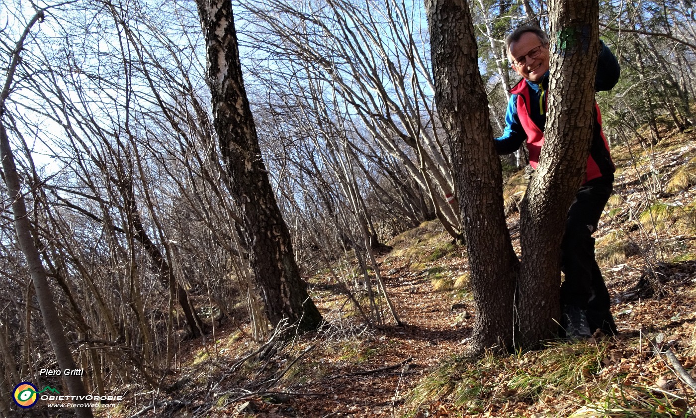 33 Sul sent. 152 nel bosco di prevalenti carpini neri.JPG -                                